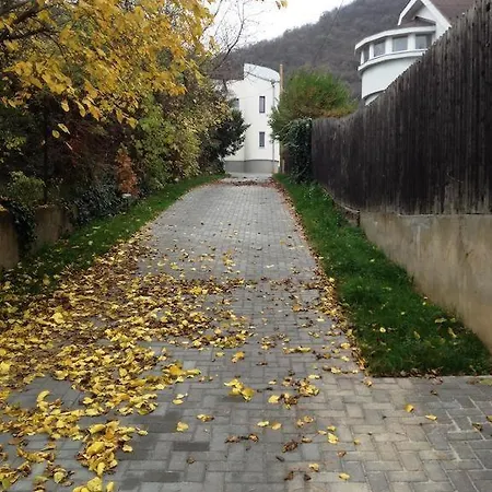 Maharaja Buda - Private Parking And Garden * 부다페스트