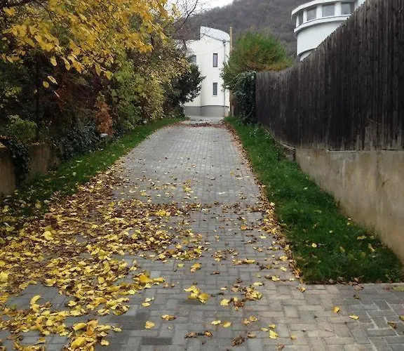 Maharaja Buda - Private Parking And Garden * 부다페스트